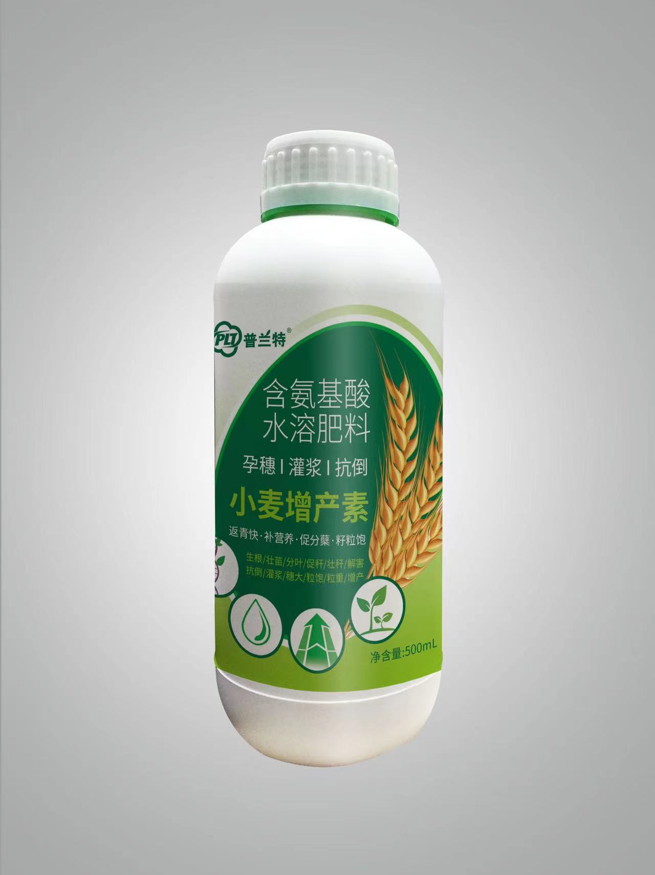 小麥增產素